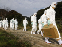 美军基地遇袭！美股创14年来最差，巴菲特重仓股暴涨119%！日本禽流感风险”极高”